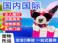 且末玉都航空空运国际宠物托运 【国